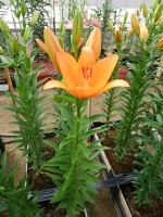 [5592 VH22 No01.JPG]